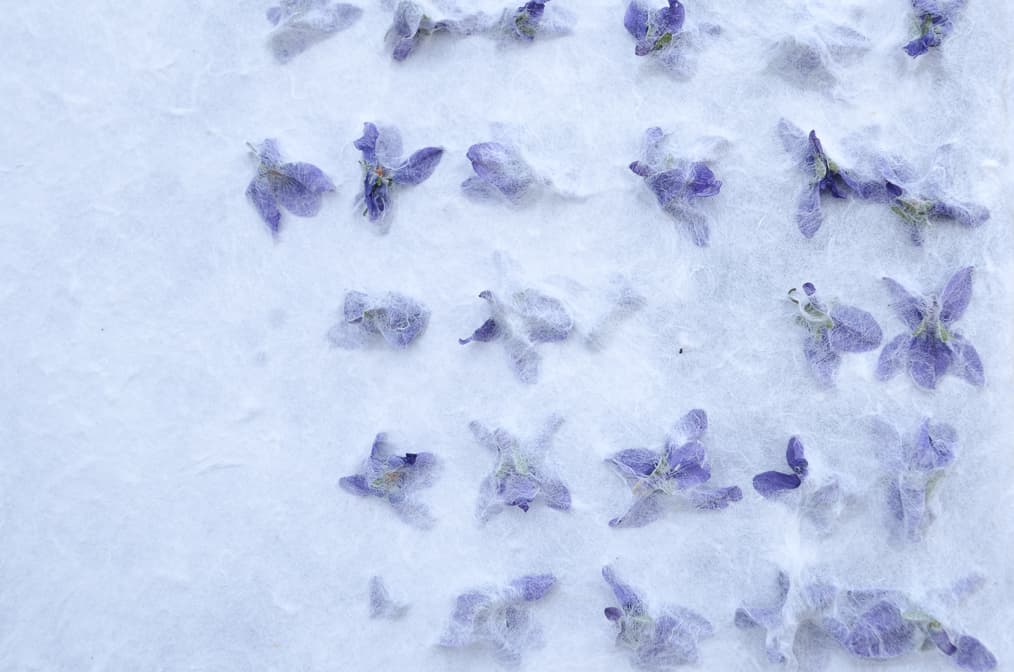 NOWNESS — The Undefined Now