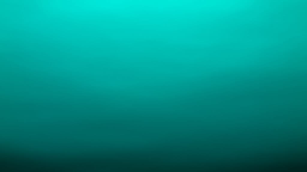 The Colors of My Maze