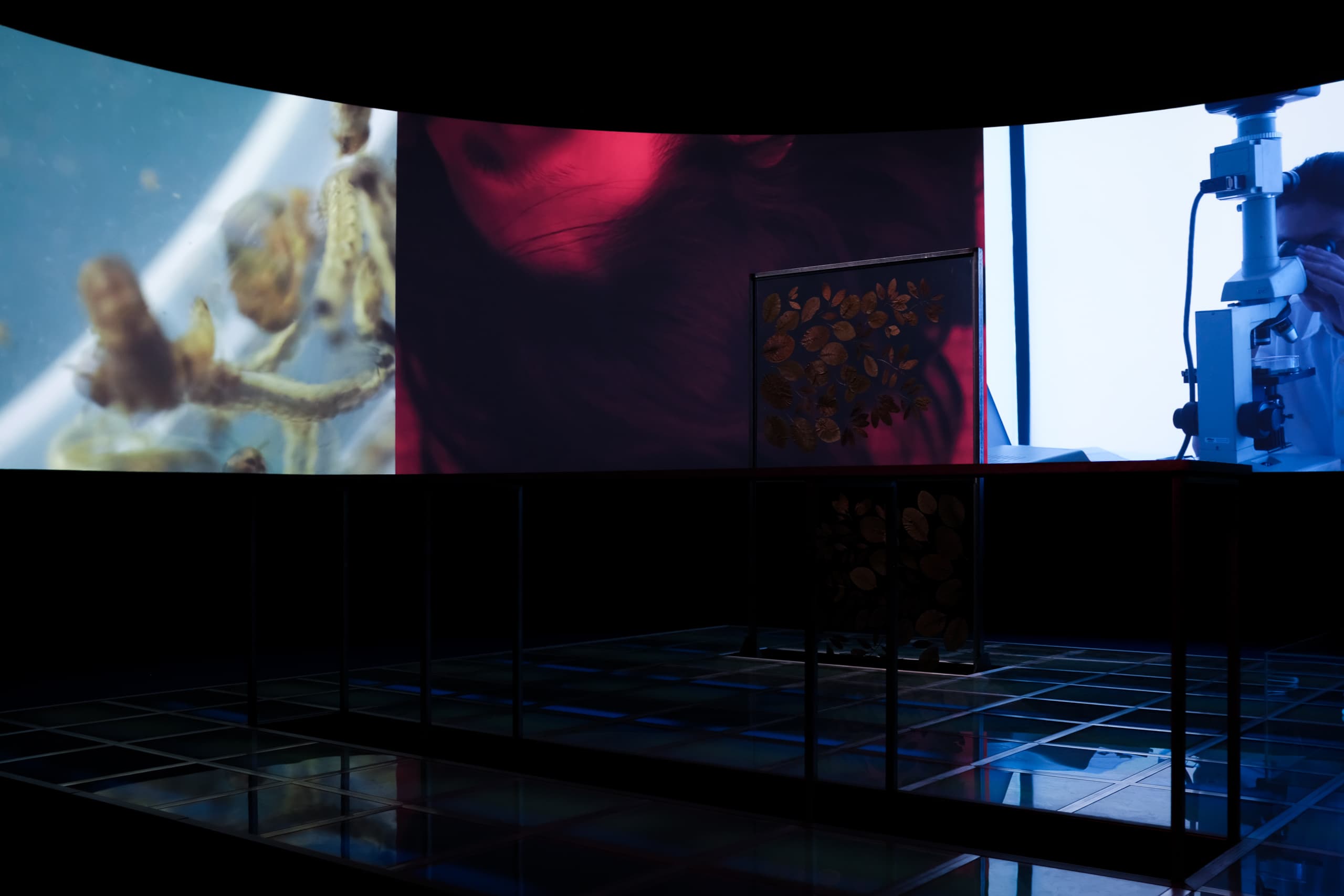 2019 Asian Art Biennial: The Strangers from beyond the Mountain and the Sea — Chapter 1 | National Taiwan Museum of Fine Arts