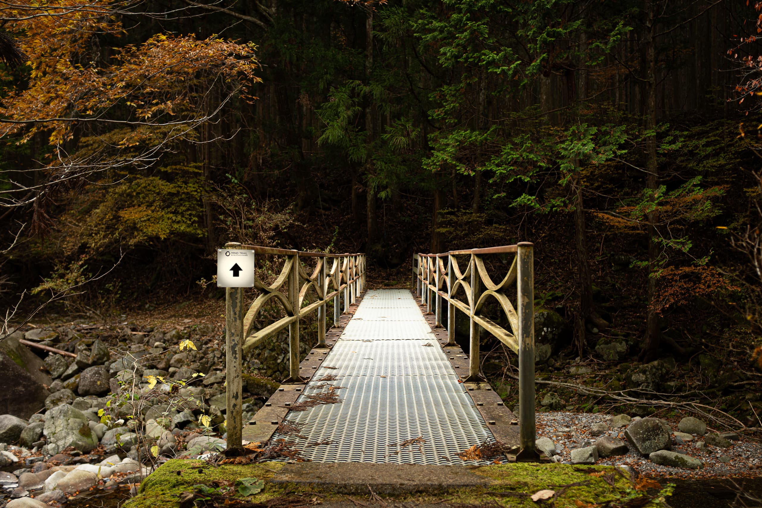 Mind Trail: The Forest — Chapter 3 | Tenkawa