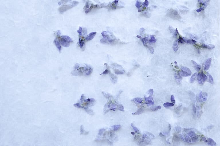 NOWNESS — The Undefined Now